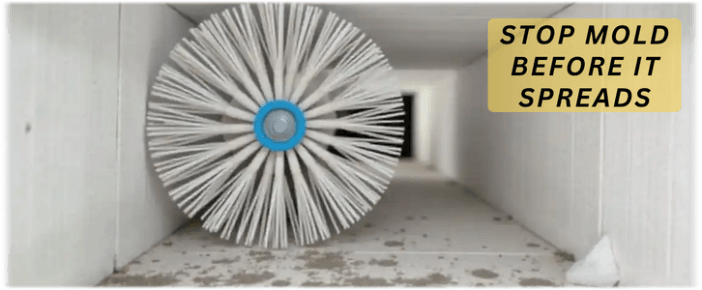 Air Duct Mold Removal in Lisle IL