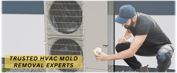 HVAC Mold Removal Lisle IL